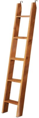 Ladder