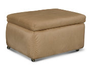 Hide-A-Seat