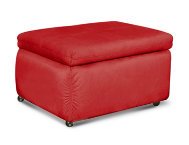 Hide-A-Seat