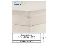 Queen Low Profile Mattress Set