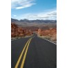 Road Trip