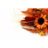 Otoño