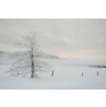 Invierno