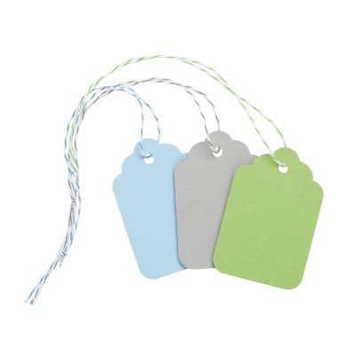 MSHO Paper Tags, Assorted Colors, Medium, 2-5/32"x1-7/16", 12/pk 11862