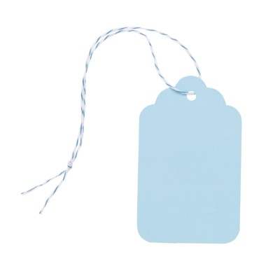 MSHO Paper Tags, Blue, Large, 2-3/4"x1-11/16", 6/pk 11863