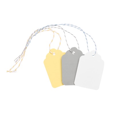 MSHO Paper Tags, Medium size, Assorted colors, 12-pack 11867
