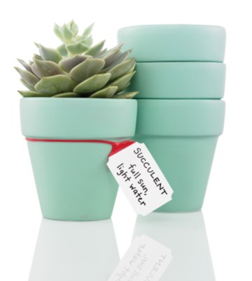 MSHO Elasti-Note Tags, Classic, Small, 3-5/8"x1-1/8", Red, 12pk 11871