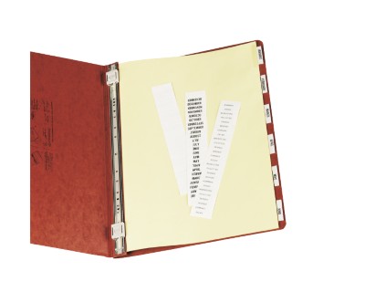 Data Binder Tab Dividers 11724