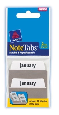 2x1.5 NoteTab Months 2 Sets of 12 16304