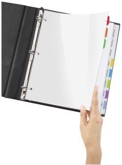 Clear Easy View Plastic Dividers are easy to create. Print all your section titles on one page, place in the sheet protector, add the clear dividers and your titles appear underneath the tabs.