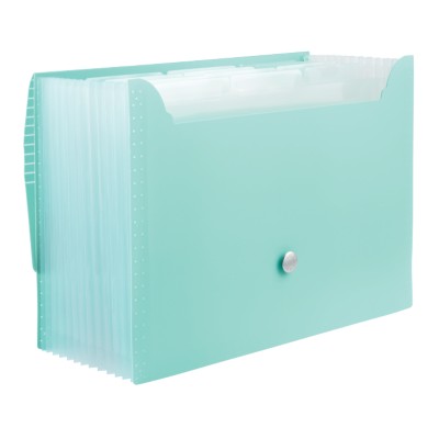 1 Plastic Accordion File, Blue, Large, 13 L x 9.5 H x 1.5 depth 24525