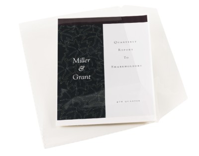 Vinyl File Envelope 72053