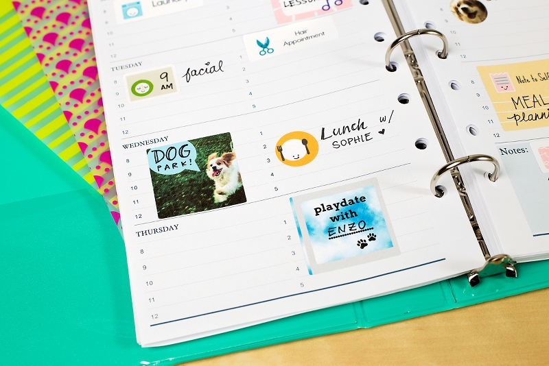 Personalize your stickers with photos, clip art and other graphics, such as pictures of your friends, pets, favorite foods… you name it.