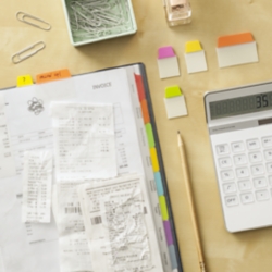 Look for acid-free and archival-safe sheet protectors so print won't lift from pages.