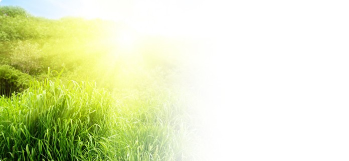 Produits écologiques