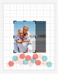 Crop Photos