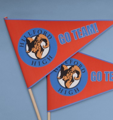 School Mascot Flag