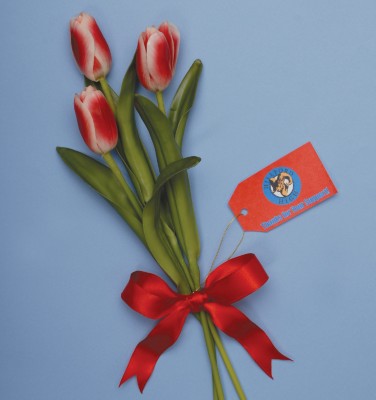 School Mascot Gift Tag