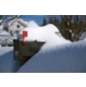 Holiday Mailing Secrets Revealed