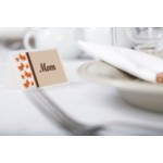 Thanksgiving Dinner Party