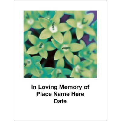 In Memory Fabric Transfer, 1 per sheet