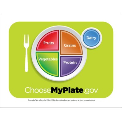 Choose My Plate Magnet Sheet, 1 per page