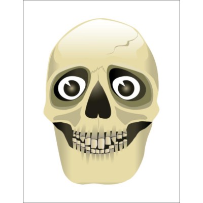 Skull Fabric Transfer