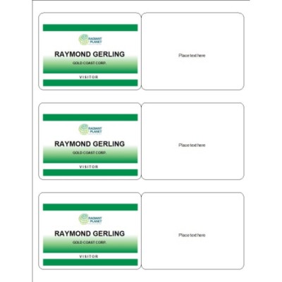Meeting Name Badge, Green Border, 3 per sheet