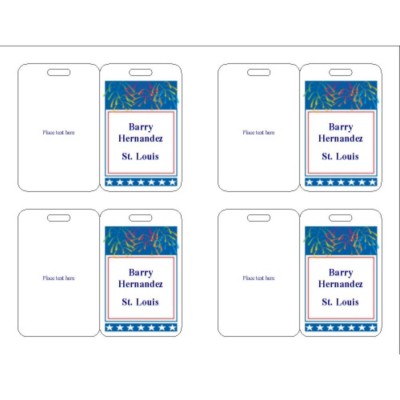 Patriotic Name Badge, 3 per sheet, 74554