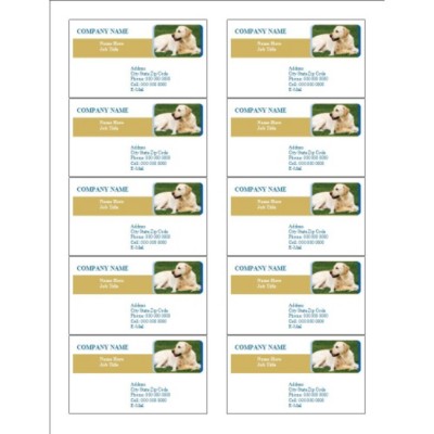 Animal Care Business Card, 10 per sheet (for glossy cards with center margin)