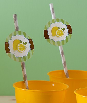 Create Sensational Sippers for Drinks