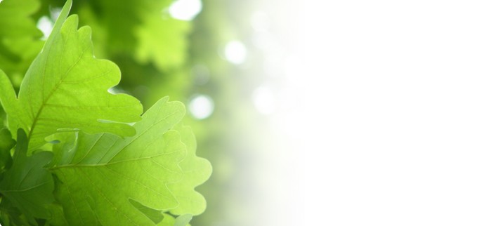 Produits respectueux de l'environnement