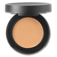 SPF 20 Correcting Concealer