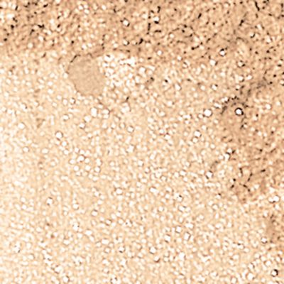 Shimmer Eyecolor - Queen Phyllis