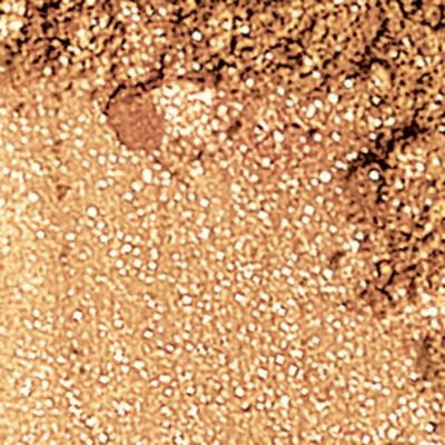 Shimmer Eyecolor - True Gold