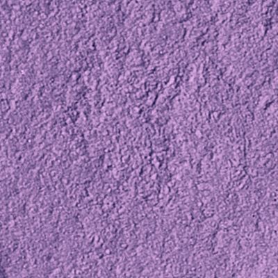 Plum Eyecolor - Angel