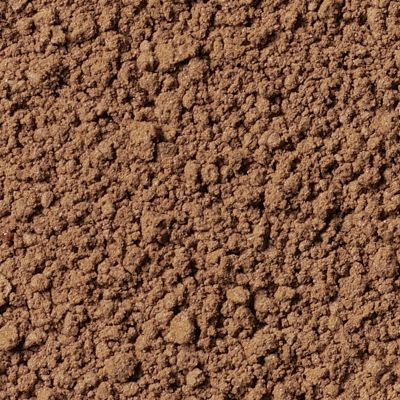 Brown Eyecolor - Wearable Brown Medium