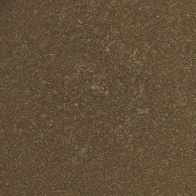 Liner Shadow - Tortoise