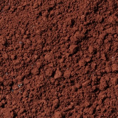 Brown Eyecolor - Wearable Chestnut