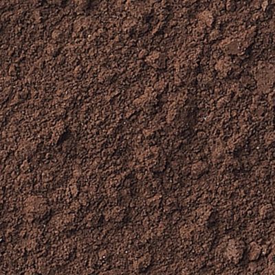 Brow Color - Auburn