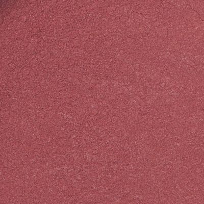 Blush - Tulip