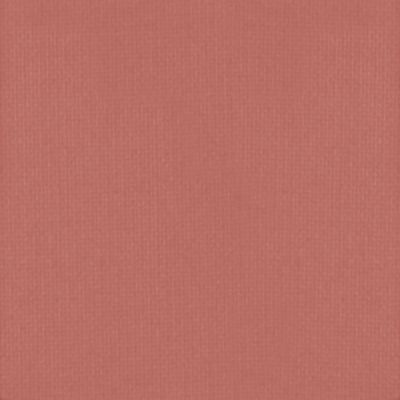 True Hue Blush - Tryst