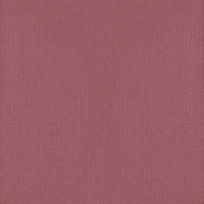 True Hue Blush - Shangri-la-la