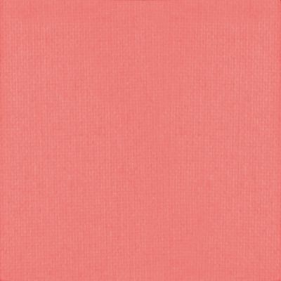 True Hue Blush - Euphoria