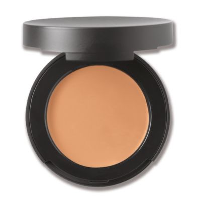 Correcting Concealer Broad Spectrum SPF 20 - Tan 2 
