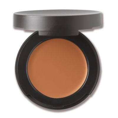 Correcting Concealer Broad Spectrum SPF 20 - Dark 2 