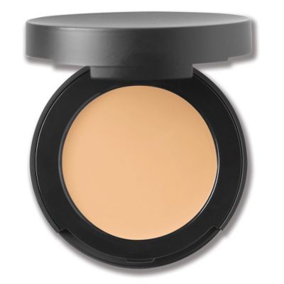 SPF 20 Correcting Concealer - Light 2 