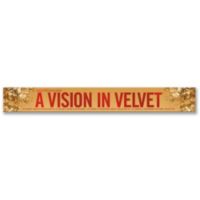  A Vision in Velvet