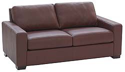 Portola 66" Sofa in Leather