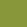 swatch color Leaf